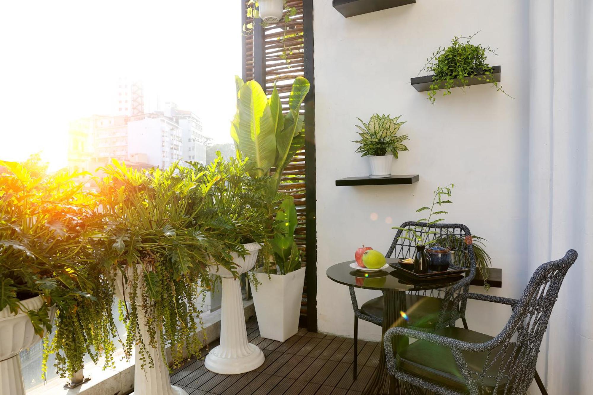 Khách Sạn&spa Cicilia Sài Gòn 4*